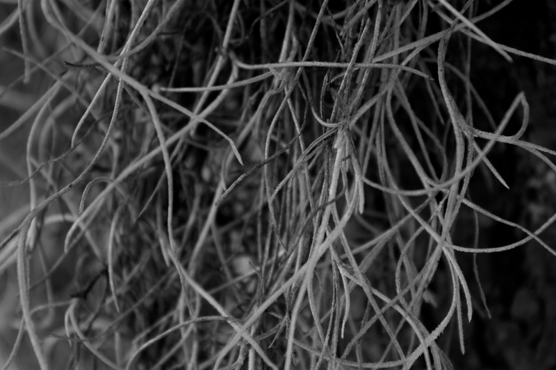 Illustration for article titled I'm still new to photography but here are some pics I took today!